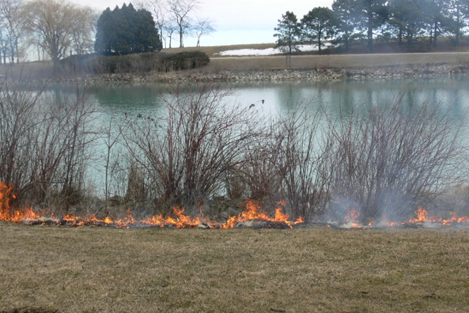 Norris lagoon burning